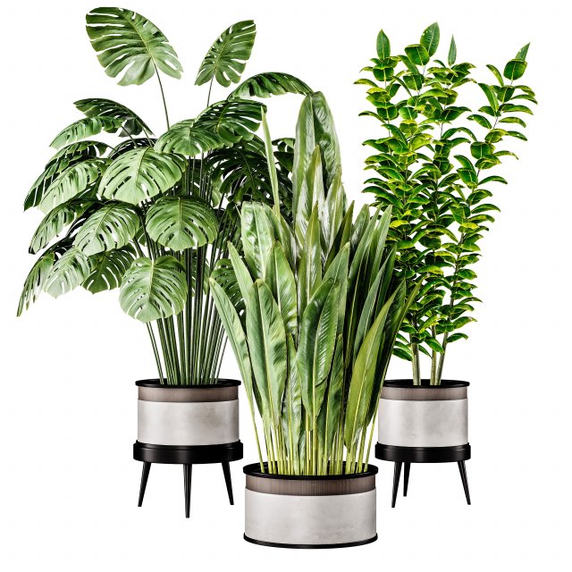 Indoor Plant 1 Modelo 3D .c4d .max .obj .3ds .fbx .stl .blend 