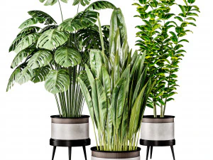 Kamerplant 1 3D Model