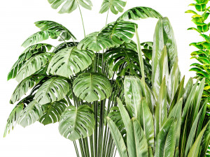 Indoor Plant 1 Modelo 3D