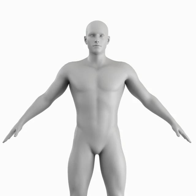 Corpo de homem m&eacute;dio Low Poly Basemesh Modelo 3D .c4d .max .obj .3ds .fbx .stl .blend 
