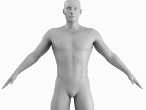 Corpo de homem m&eacute;dio Low Poly Basemesh Modelo 3D