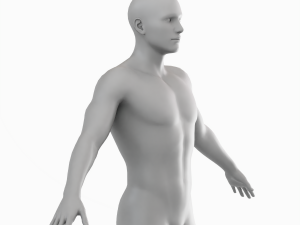 Average Man Body Low Poly Basemesh 3D 모델