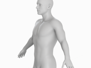 Average Man Body Low Poly Basemesh 3D 모델