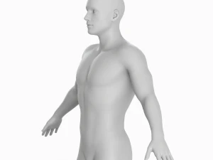 Corpo de homem m&eacute;dio Low Poly Basemesh Modelo 3D