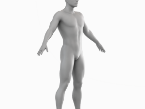 Average Man Body Low Poly Basemesh 3D 모델