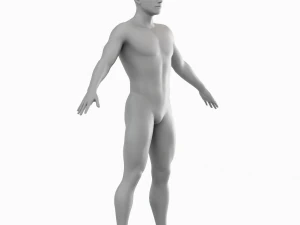 Corpo de homem m&eacute;dio Low Poly Basemesh Modelo 3D