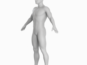 Average Man Body Low Poly Basemesh 3D 모델