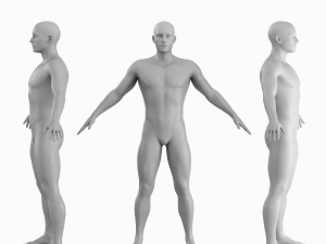 Average Man Body Low Poly Basemesh 3D 모델