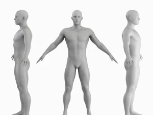 Corpo de homem m&eacute;dio Low Poly Basemesh Modelo 3D