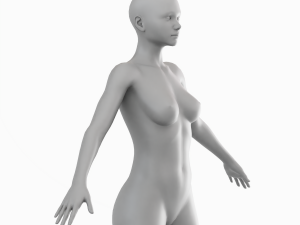 Average Woman Body Low Poly Basemesh 3D Model