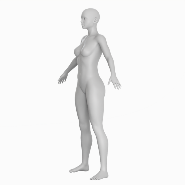 Realistic Female Body Base Mesh 3D Model in Anatomy 3DExport