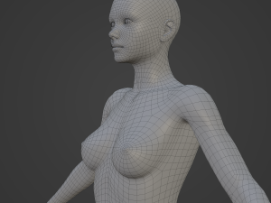 Average Woman Body Low Poly Basemesh 3D Model