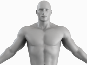 Average Musculistic Man Body Low Poly Basemesh 3Dモデル
