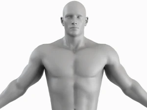 Cuerpo de hombre musculoso promedio Malla base de baja poli Modelo 3D