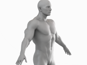 Average Musculistic Man Body Low Poly Basemesh 3Dモデル