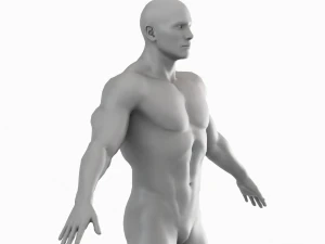 Cuerpo de hombre musculoso promedio Malla base de baja poli Modelo 3D