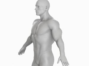 Average Musculistic Man Body Low Poly Basemesh 3Dモデル