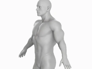 Cuerpo de hombre musculoso promedio Malla base de baja poli Modelo 3D