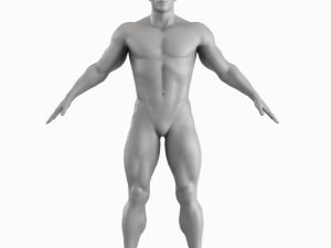 Average Musculistic Man Body Low Poly Basemesh 3Dモデル