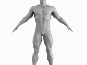 Cuerpo de hombre musculoso promedio Malla base de baja poli Modelo 3D