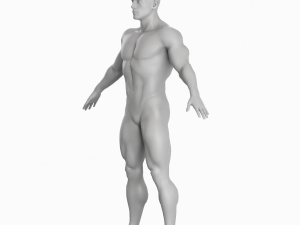Average Musculistic Man Body Low Poly Basemesh 3Dモデル