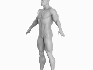 Cuerpo de hombre musculoso promedio Malla base de baja poli Modelo 3D