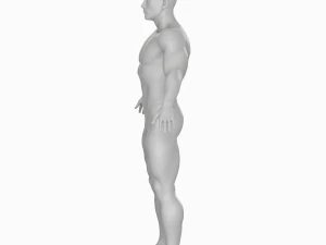 Cuerpo de hombre musculoso promedio Malla base de baja poli Modelo 3D