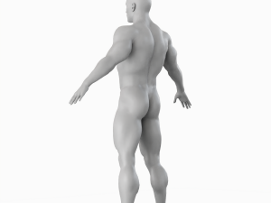 Average Musculistic Man Body Low Poly Basemesh 3Dモデル
