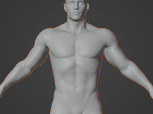 Cuerpo de hombre musculoso promedio Malla base de baja poli Modelo 3D