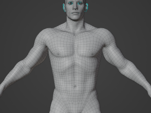 Average Musculistic Man Body Low Poly Basemesh 3Dモデル