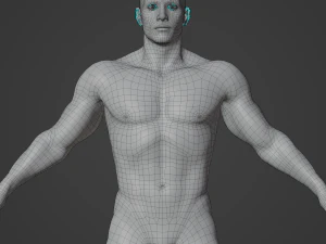 Cuerpo de hombre musculoso promedio Malla base de baja poli Modelo 3D