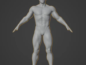 Cuerpo de hombre musculoso promedio Malla base de baja poli Modelo 3D