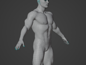 Average Musculistic Man Body Low Poly Basemesh 3Dモデル