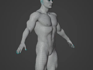 Cuerpo de hombre musculoso promedio Malla base de baja poli Modelo 3D