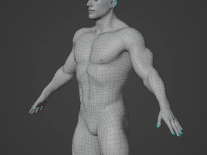 Cuerpo de hombre musculoso promedio Malla base de baja poli Modelo 3D