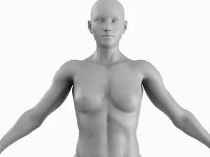 Cuerpo de mujer musculosa promedio Low Poly Basemesh Modelo 3D