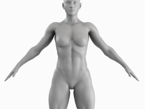 Average Musculistic Woman Body Low Poly Basemesh 3D Model