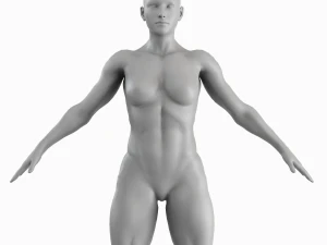 Average Musculistic Woman Body Low Poly Basemesh 3D Model