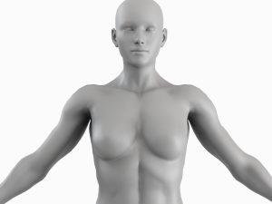 Average Musculistic Woman Body Low Poly Basemesh 3D Model