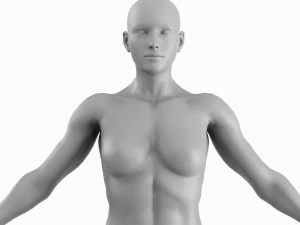 Average Musculistic Woman Body Low Poly Basemesh 3D Model
