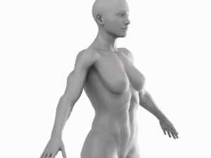 Average Musculistic Woman Body Low Poly Basemesh 3D Model