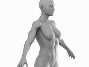 Average Musculistic Woman Body Low Poly Basemesh 3D Model