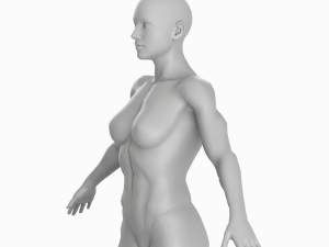 Average Musculistic Woman Body Low Poly Basemesh 3D Model