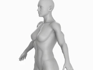 Average Musculistic Woman Body Low Poly Basemesh 3D Model