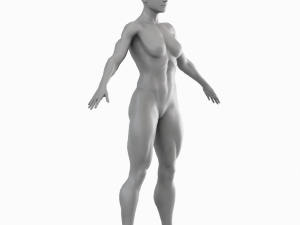 Average Musculistic Woman Body Low Poly Basemesh 3D Model