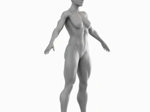 Average Musculistic Woman Body Low Poly Basemesh 3D Model