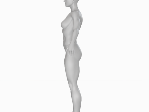 Average Musculistic Woman Body Low Poly Basemesh 3D Model