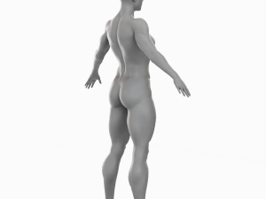 Average Musculistic Woman Body Low Poly Basemesh 3D Model