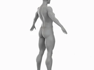 Average Musculistic Woman Body Low Poly Basemesh 3D Model