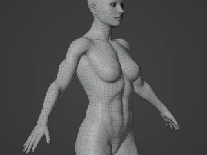 Average Musculistic Woman Body Low Poly Basemesh 3D Model